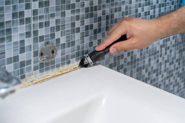 Best Professional Mold Removal  in Brookridge, FL